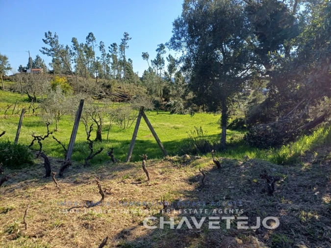 Quinta T4 para Venda em Cernache do Bonjardim, Nesperal e Palhais Foto 24