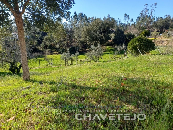 Quinta T4 para Venda em Cernache do Bonjardim, Nesperal e Palhais Foto 31