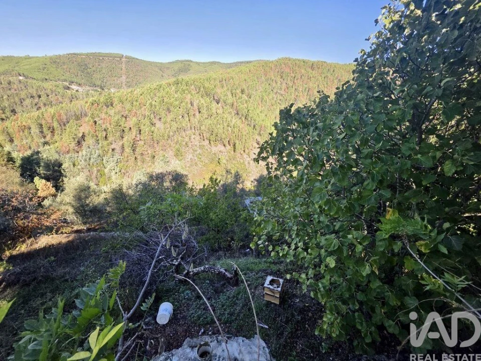 Moradia para Venda em Vide e Cabeça Foto 19