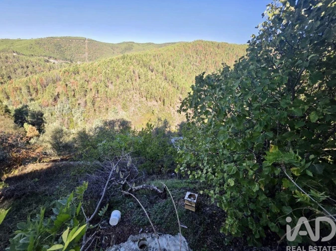 Moradia para Venda em Vide e Cabeça Foto 19