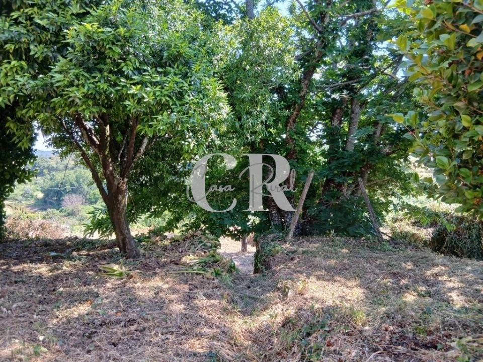 Moradia T4 para Venda em Figueiró dos Vinhos e Bairradas Foto 20