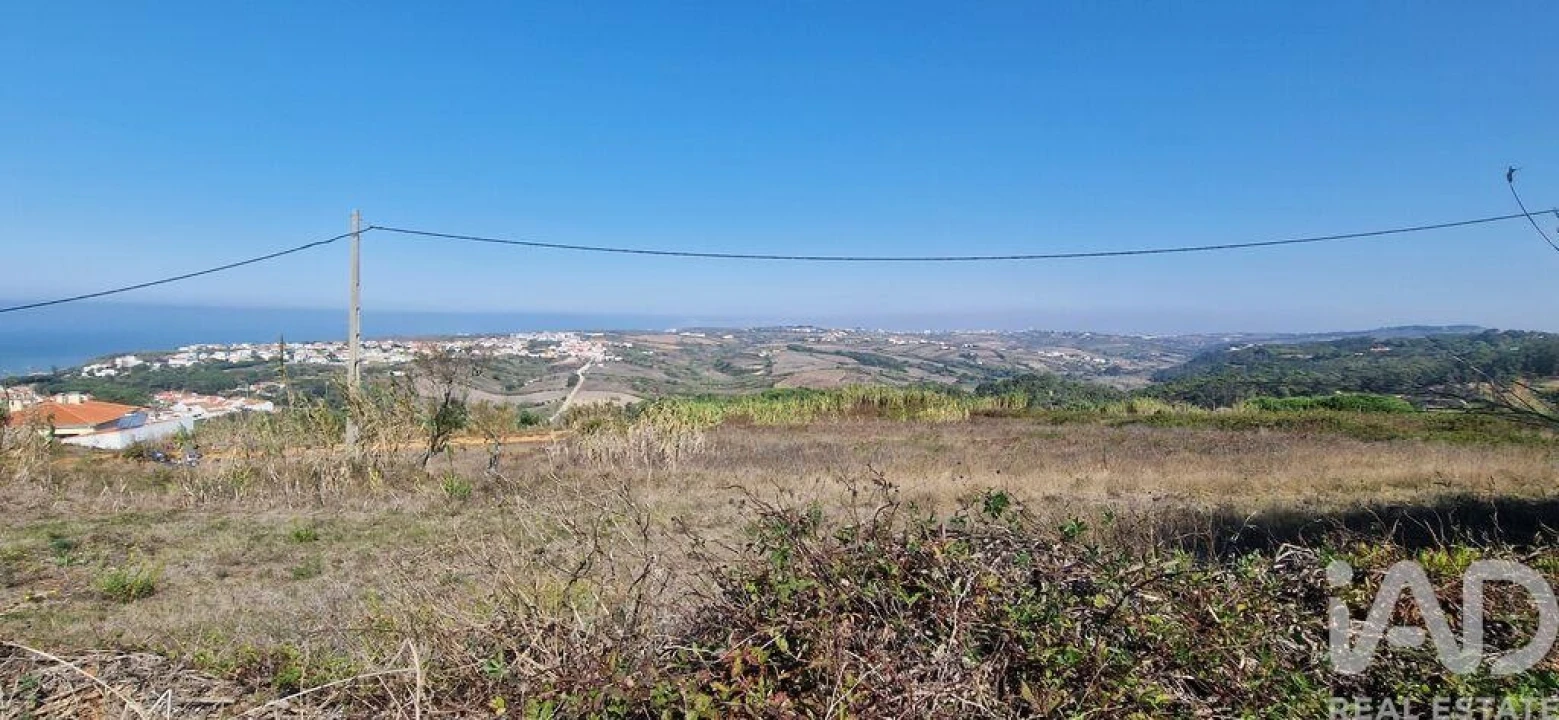 Terreno para Venda em Santo Isidoro Foto 14