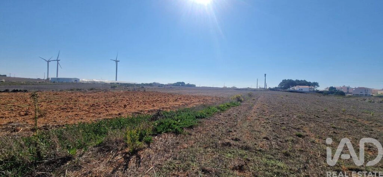 Terreno para Venda em Santo Isidoro Foto 13