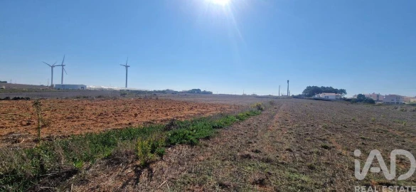 Terreno para Venda em Santo Isidoro
