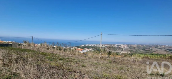 Terreno para Venda em Santo Isidoro