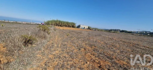 Terreno para Venda em Santo Isidoro