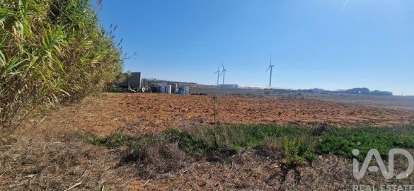 Terreno para Venda em Santo Isidoro