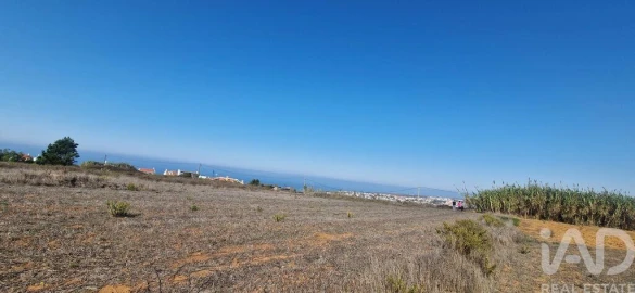 Terreno para Venda em Santo Isidoro