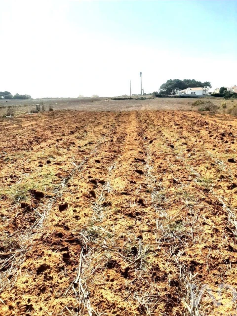 Terreno para Venda em Santo Isidoro