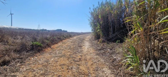 Terreno para Venda em Santo Isidoro