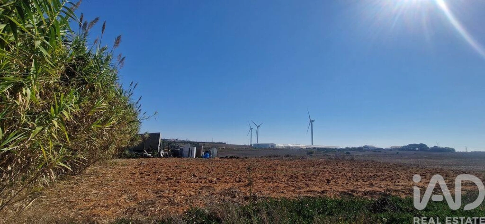 Terreno para Venda em Santo Isidoro Foto 5