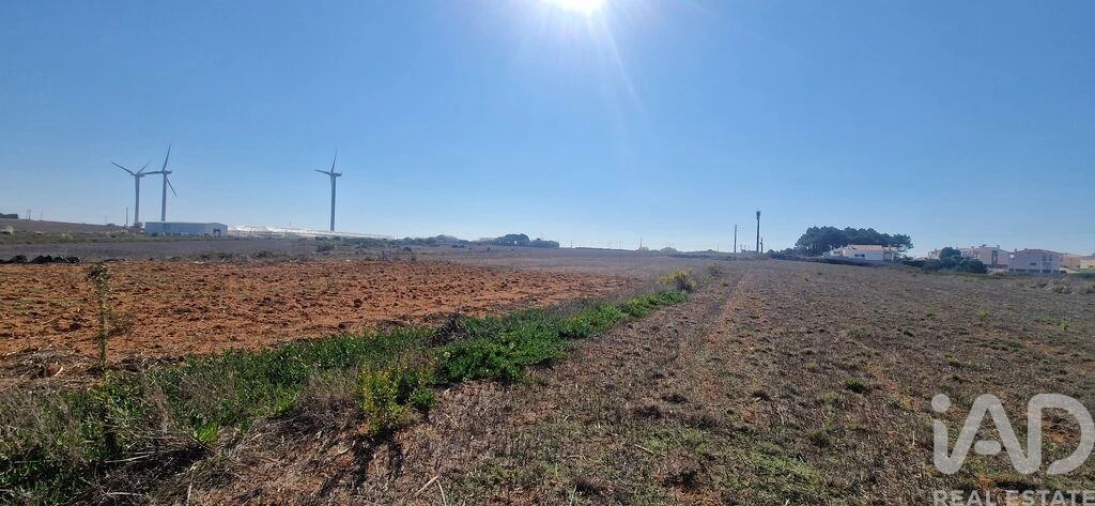 Terreno para Venda em Santo Isidoro Foto 13