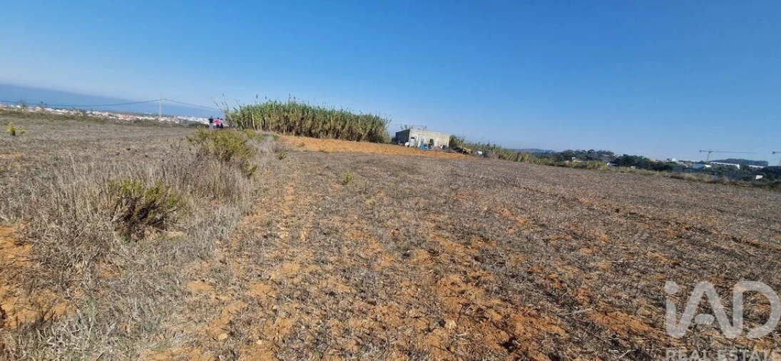 Terreno para Venda em Santo Isidoro Foto 9