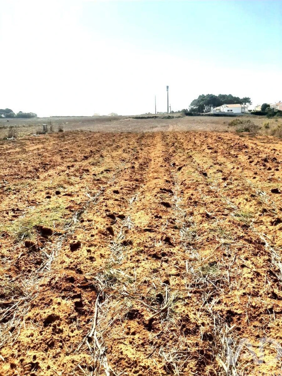 Terreno para Venda em Santo Isidoro Foto 12