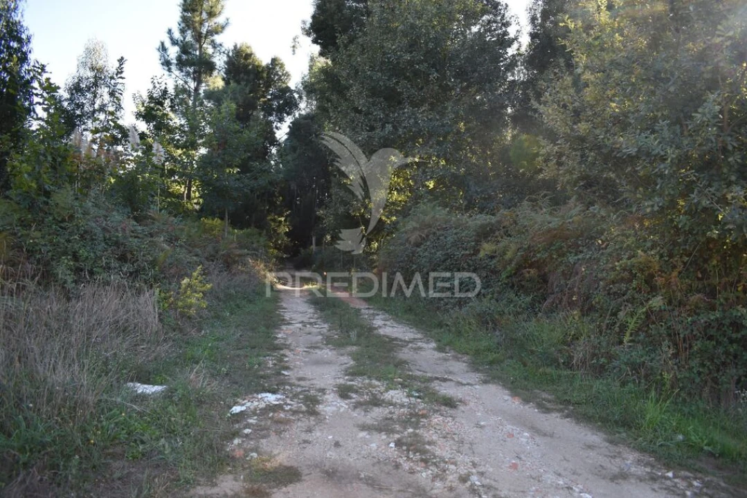 Terreno para Venda em Serzedo e Perosinho Foto 2