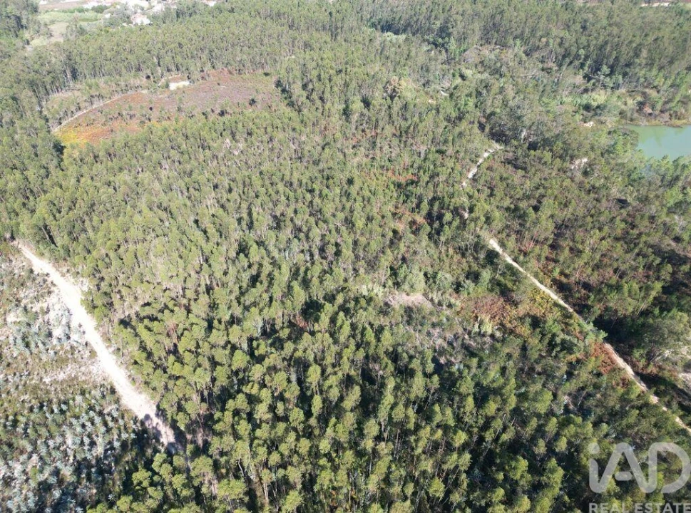 Terreno para Venda em Pedreiras Foto 6