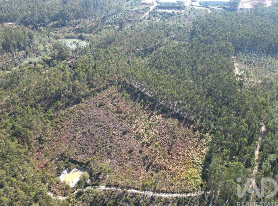 Terreno para Venda em Pedreiras Foto 7