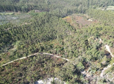 Terreno para Venda em Pedreiras