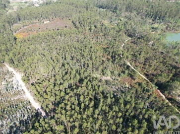Terreno para Venda em Pedreiras