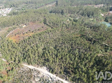 Terreno para Venda em Pedreiras