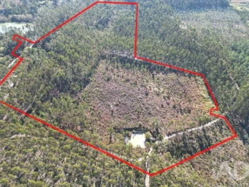 Terreno para Venda em Pedreiras