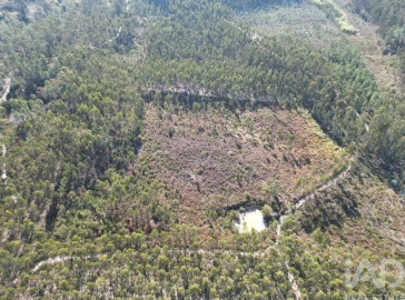 Terreno para Venda em Pedreiras