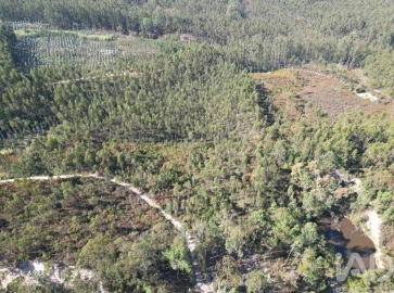Terreno para Venda em Pedreiras