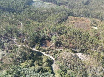 Terreno para Venda em Pedreiras