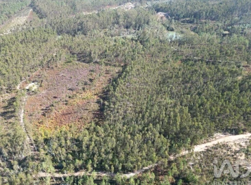 Terreno para Venda em Pedreiras