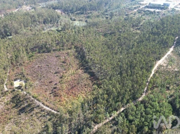 Terreno para Venda em Pedreiras