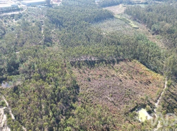 Terreno para Venda em Pedreiras