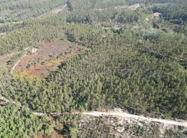 Terreno para Venda em Pedreiras