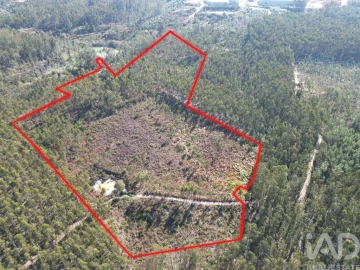 Terreno para Venda em Pedreiras