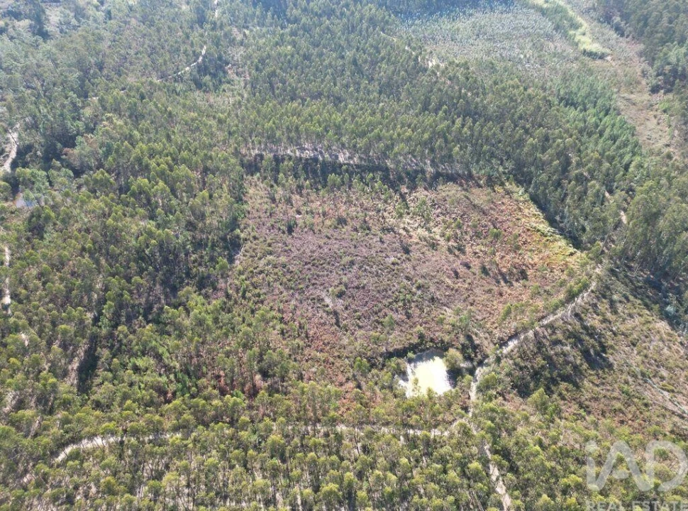 Terreno para Venda em Pedreiras Foto 13
