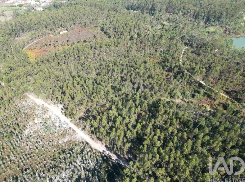 Terreno para Venda em Pedreiras Foto 12