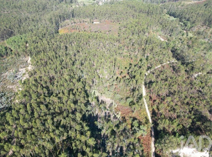 Terreno para Venda em Pedreiras Foto 14