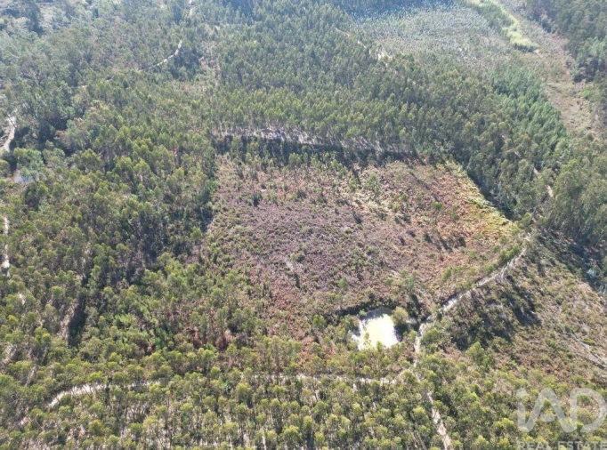 Terreno para Venda em Pedreiras Foto 13
