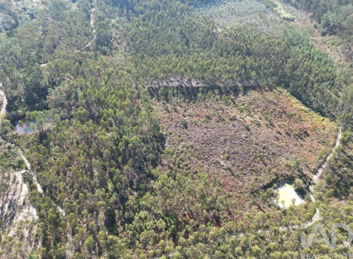 Terreno para Venda em Pedreiras Foto 17