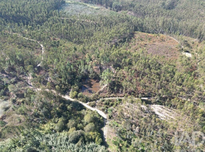 Terreno para Venda em Pedreiras Foto 11