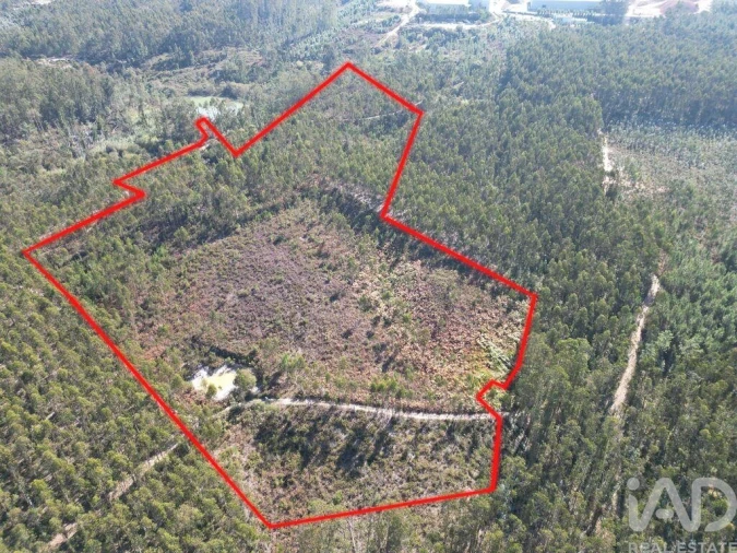 Terreno para Venda em Pedreiras Foto 2
