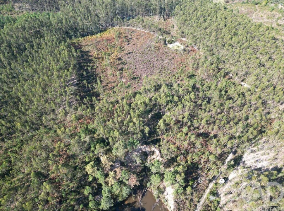 Terreno para Venda em Pedreiras Foto 16