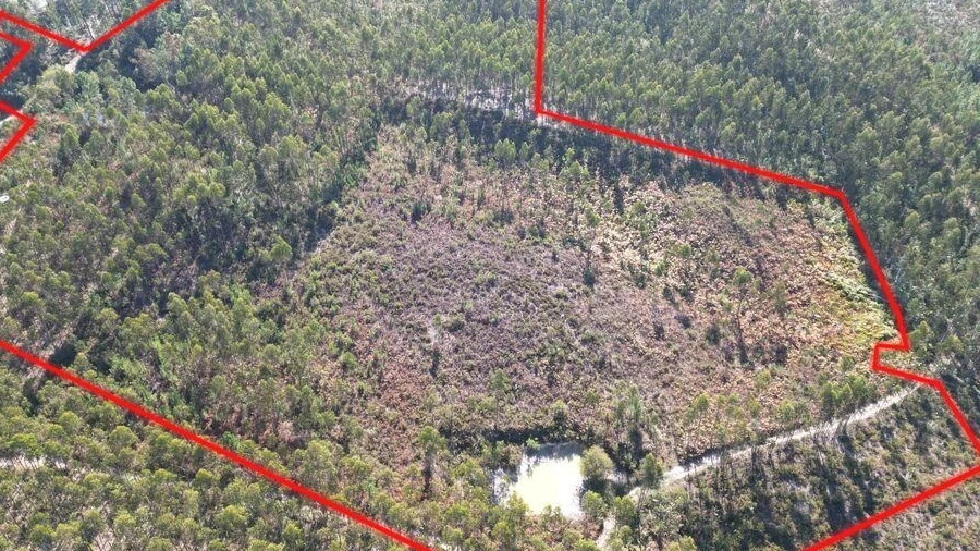 Terreno para Venda em Pedreiras