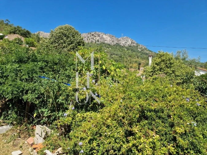 Moradia T3 para Venda em Vila Velha de Rodão Foto 9