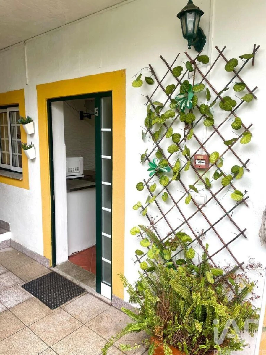 Moradia para Venda em Canas de Senhorim Foto 5