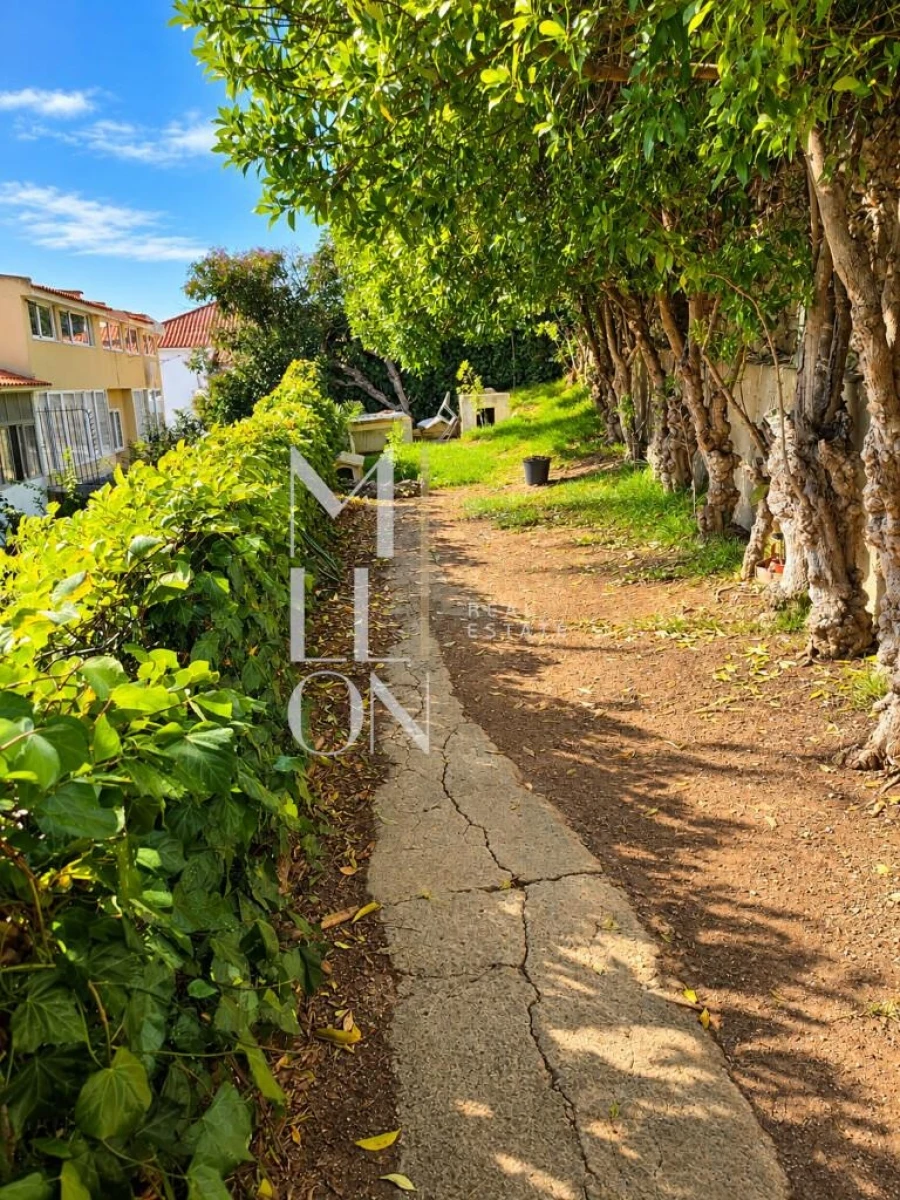 Apartamento T3 para Venda em Carcavelos e Parede Foto 2