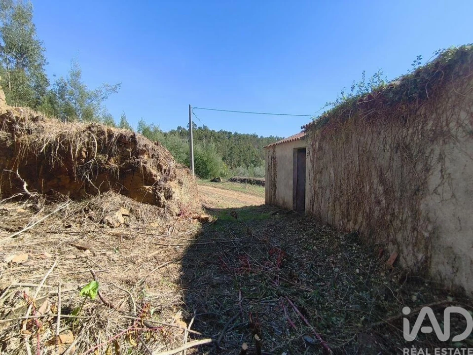 Moradia para Venda em Semide e Rio Vide Foto 27