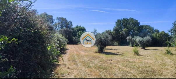 Terreno para Venda em Toulões