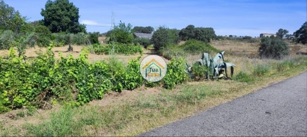 Terreno para Venda em Toulões