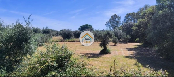 Terreno para Venda em Toulões