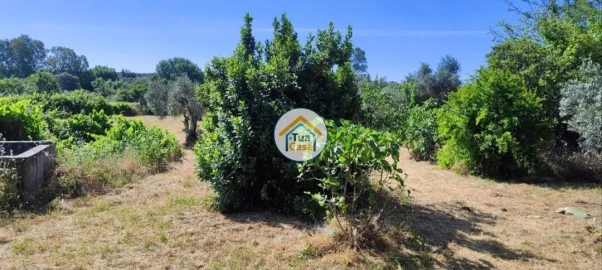 Terreno para Venda em Toulões